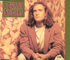 Curtis Stigers - I Wonder Why